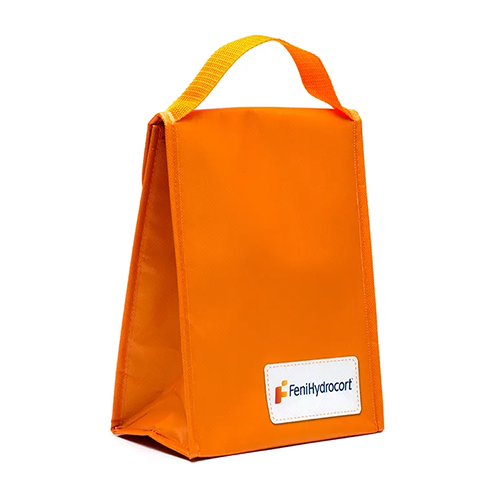Koelere lunchtas met grote capaciteit
