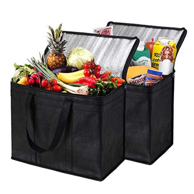 Draagbare lunchkoeltas